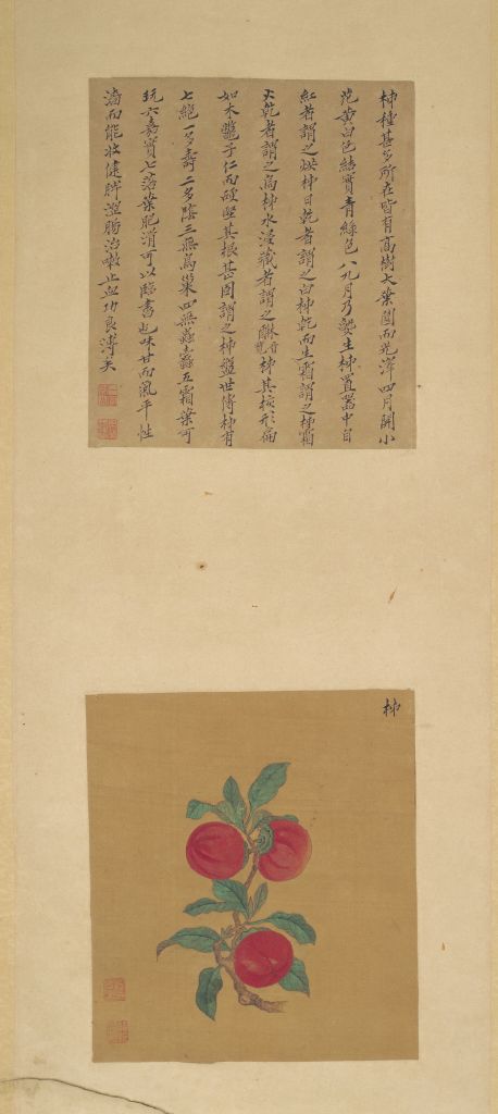 图片[4]-Zhou Shuxi and Zhou Shuhu flower and fruit picture screen-China Archive